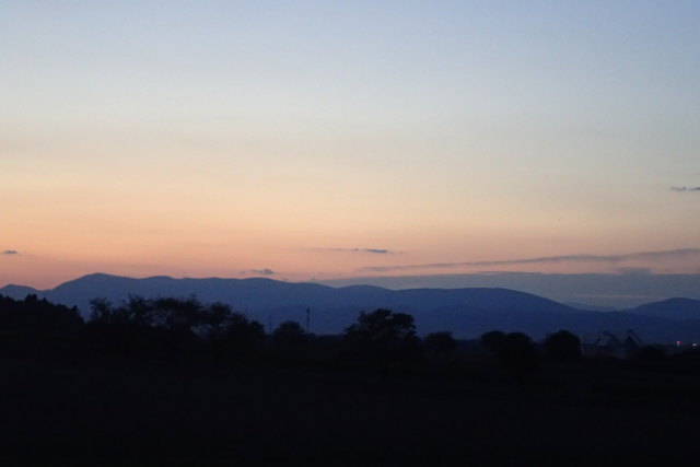 Am Heimweg ... zum Heurigen ....
