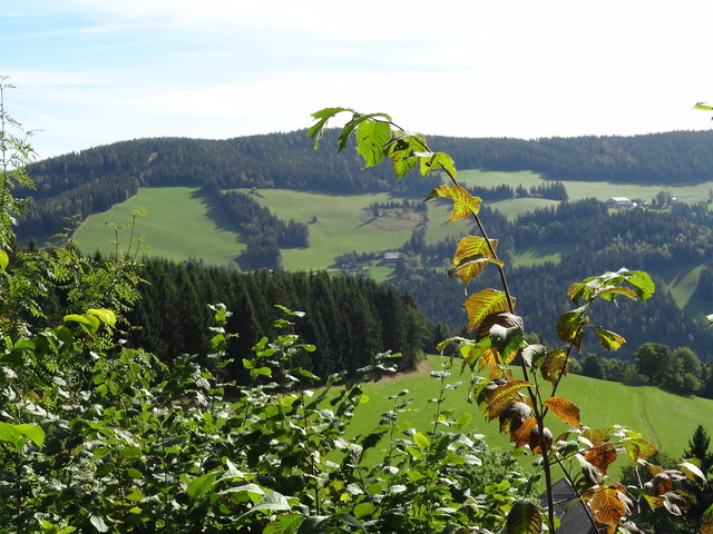 Steirisches Almenland