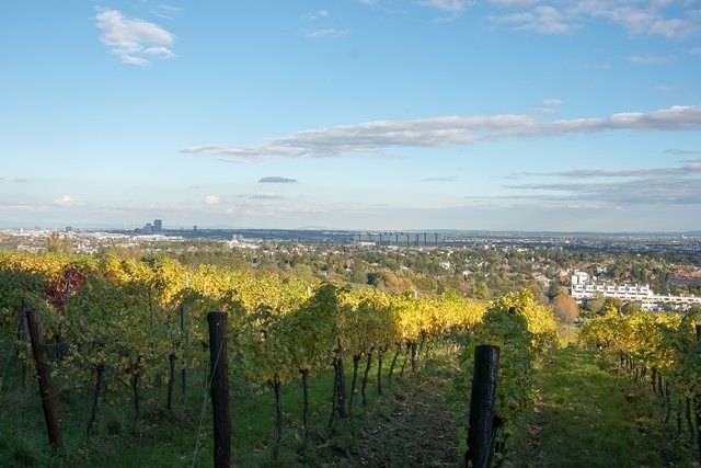 Weinzeit