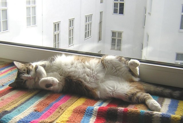 Herrlich diese Sonne a.!