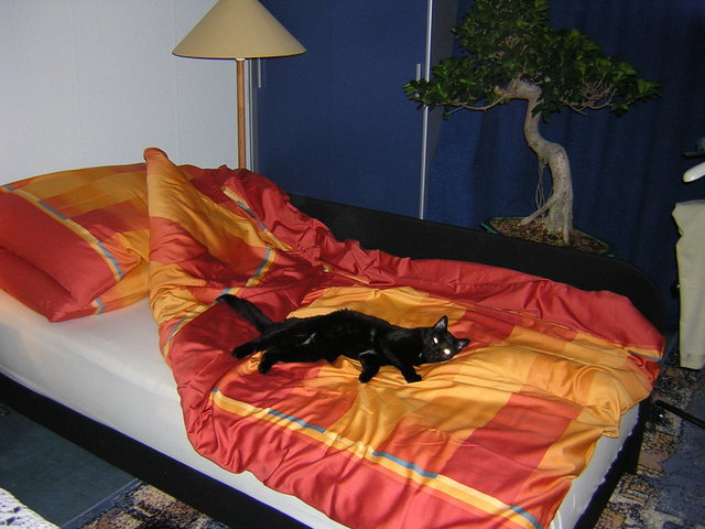 Im neuen Bett da liegt´s sich gut!