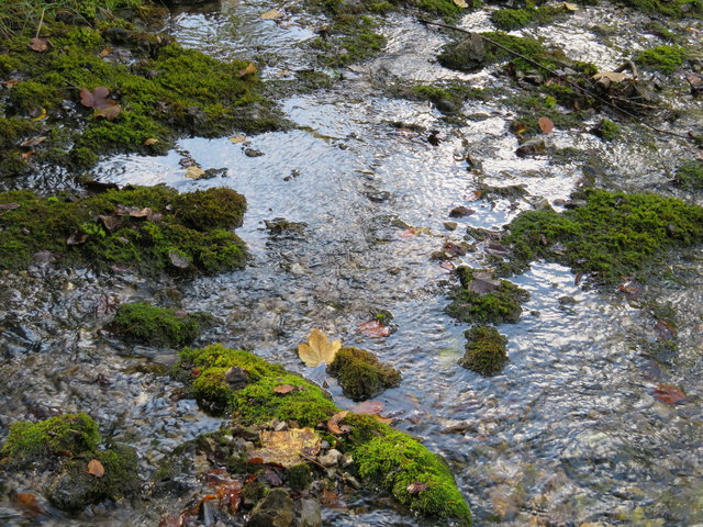 Die Zeit nimmt ihren Lauf und Blatt für Blatt beginnt der Herbst