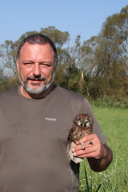 Thomas Hochebner mit einem Raufußkauz. | Foto: privat