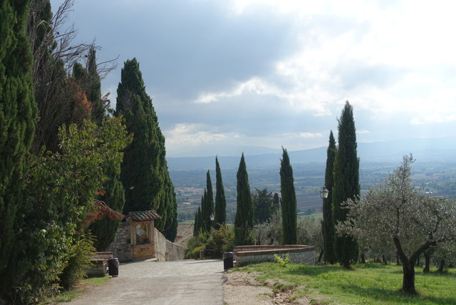Assisi