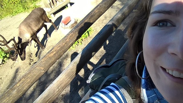 Bezirksblätter-Redakteurin Julia Erber war auf Eurotours-Recherchereise in Stockholm/Schweden, dabei hat sie auch tierische Einheimische getroffen.