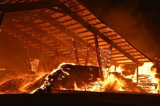 Die gelägerten Sägespäne und Strohballen wurden ein Raub der Flammen. | Foto: BFKDO LF