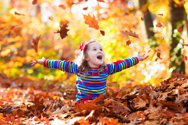 Der Herbst zeigt sich auch heuer wieder in den schönsten Farben.