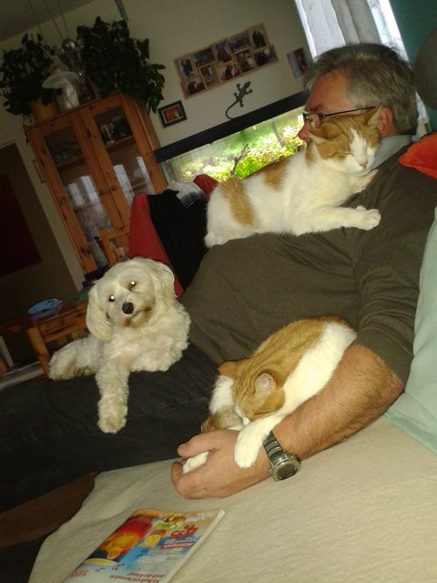 da ist`s bequem!