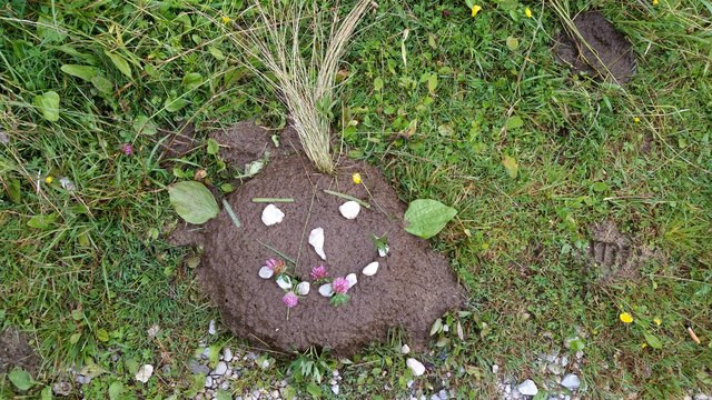 Lach und Sachgeschichten