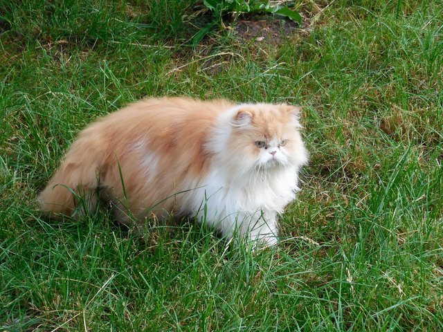 Lilly, nocheinmal,kleiner Ausflug