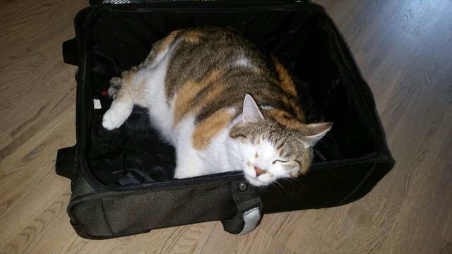 Ab in den Urlaub