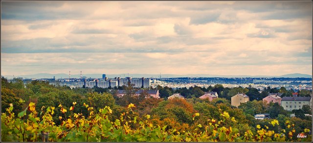 Blick über den Wohnpark Alt Erlaa