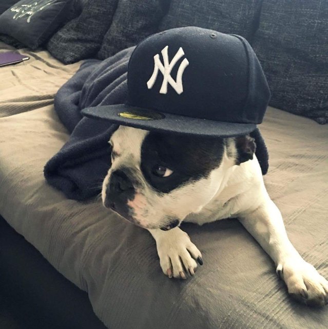 Elvis relaxt ganz cool