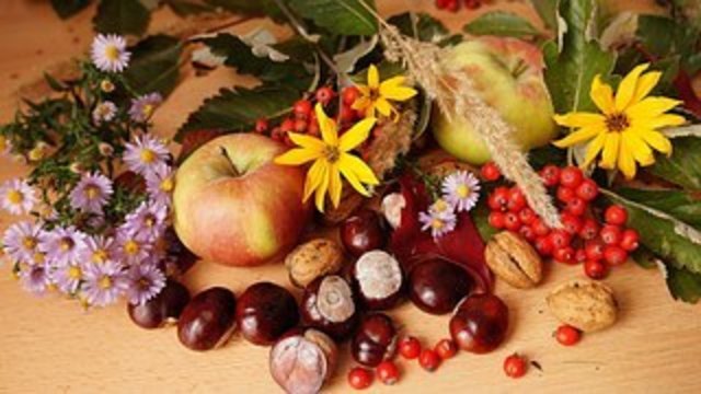Grüße von Hildegard - aus dem farbenprächtigem Herbst