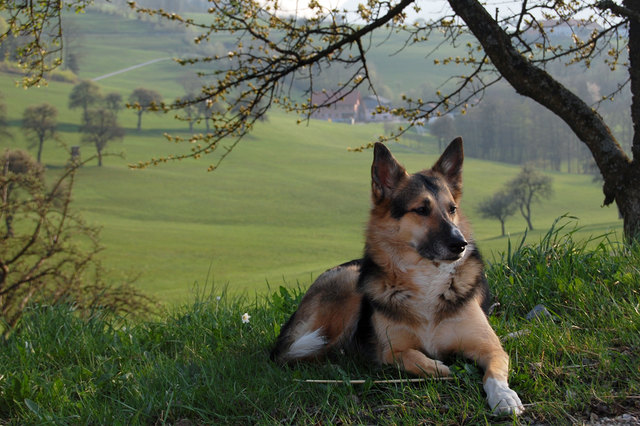 relaxen nach einem schönen tag