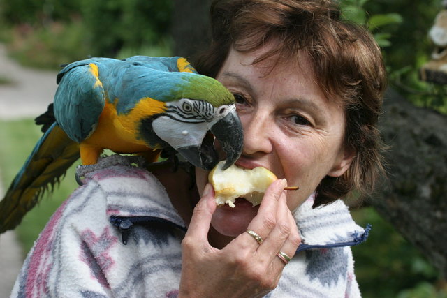 lecker