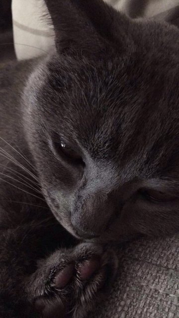Sleep tight