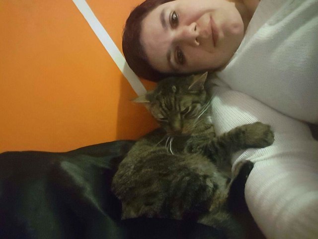 Mein Picasso ein treuer Freund und sagenhafter Schmuser der es mit seiner Liebe immer ernst und ehrlich meint
