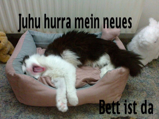 Meine Süße ist ganz verliebt in ihr neues Bettchen