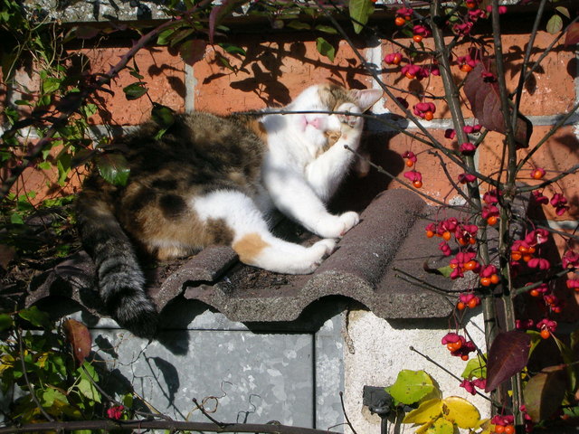 Herbstsonne genießen