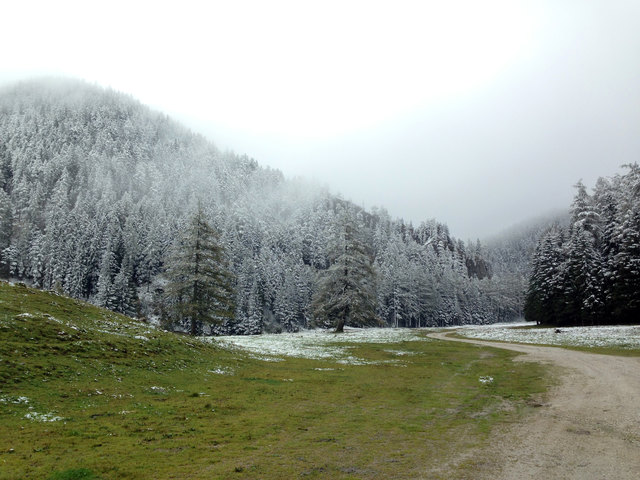 I geh grad vom Herbst in den Winter rein...