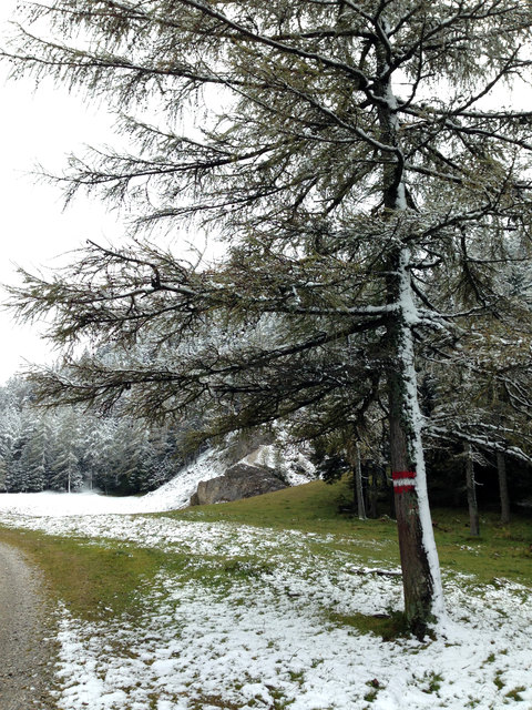 Irgendwie scheint der Schnee da hier waagrecht daherkommen zu sein...