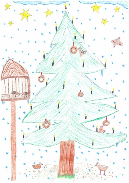 Sara-Maria Lehner aus Wiesfleck