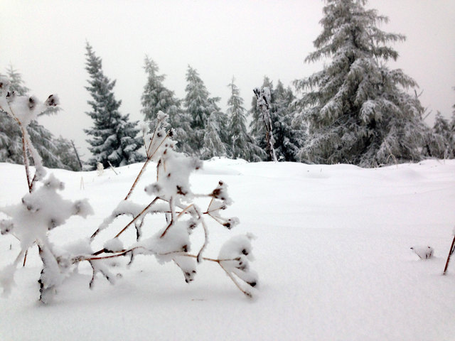 ... is scho a bissl mehr Schnee da hier...