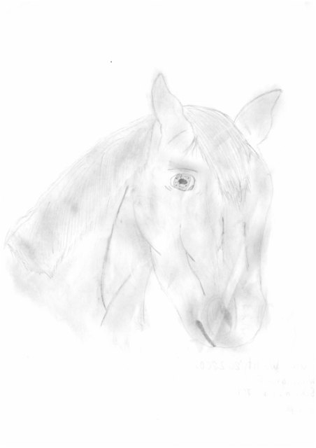 Liliane Wuchty aus Swendgraben