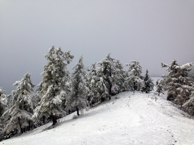 Oder ah ned... weil da hier is auf amol die Sunn aussakommen und zaubert glei a wunderschöne Winterlandschaft vur meine Augn!