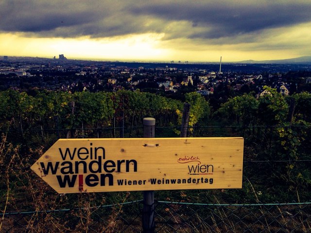 wandern in wien ... :-)