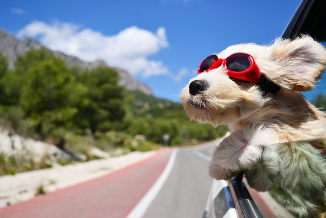 Auf geht’s zum Roadtrip. Der Gardasee ist durch seine einzigartige Lade nämlich nicht nur selbst ein hervorragendes Urlaubs- und Ausflugsziel, sondern eignet sich auch noch als „Heimatbasis“ für Kultur- und Städtereisen in der Po-Ebene sowie als Startpunkt für einen Trip quer durch den ganzen Stiefel bis in seinen Absatz.