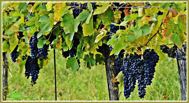 Sie hängen nicht zu hoch