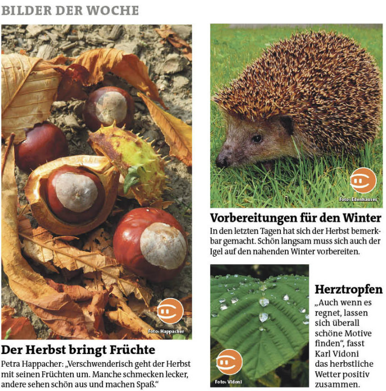 Bezirksblätter Hall/Rum, Stubai-/Wipptal, Westliches Mittelgebirge, Stadtblatt Innsbruck KW 40