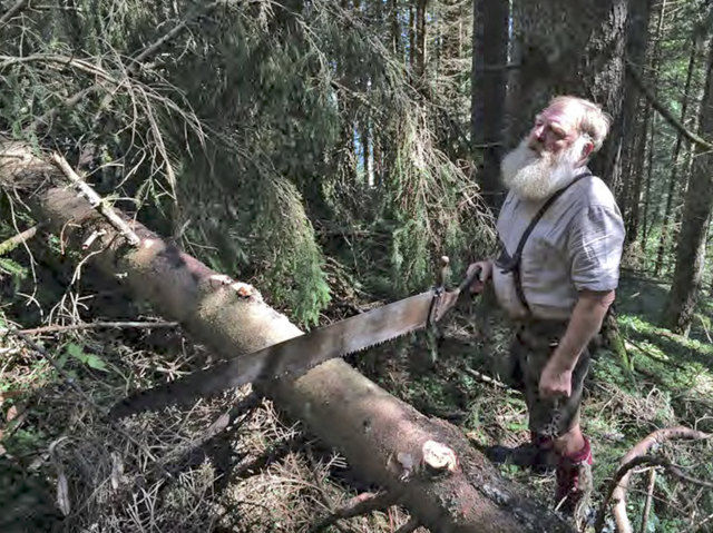 Eine Hörerinnerung: Das Geräusch einer Säge bei der Holzarbeit im Wald. | Foto: Hansaton/P8 GmbH