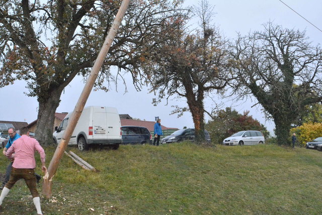 Der Baum fällt!
