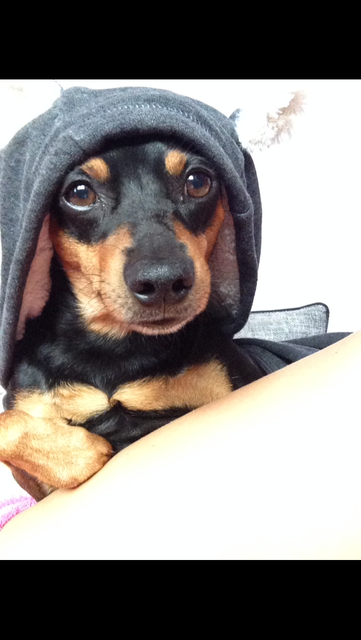 kuscheln ...