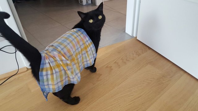 auch mir war es heiß diesen sommer - warum also nicht mit nem kühlen tuch durch die wohnung wandern? :-)