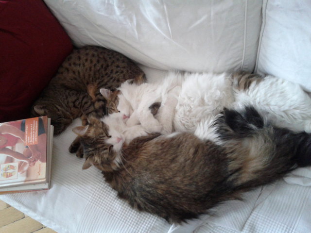 Kuscheln zu dritt