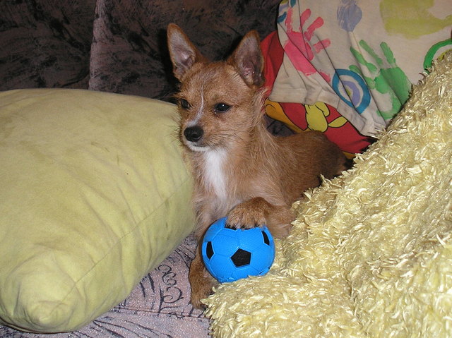 Meinen Ball nimmt mir keiner weg
