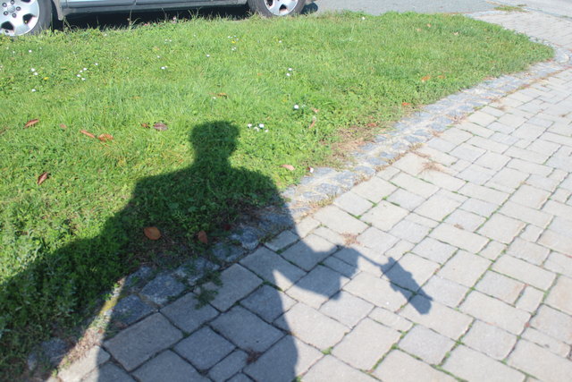 Im Schatten der Gemeindearbeiter zieht der Müllbaron von Zeit zu Zeit los, um vereinzelt unachtsam weggeworfenen Müll einzusammeln.