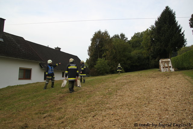 Foto: Ingrid Englisch