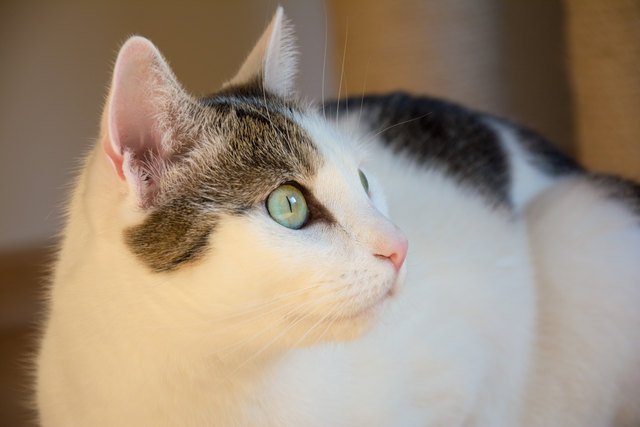 Unsere Emma 
