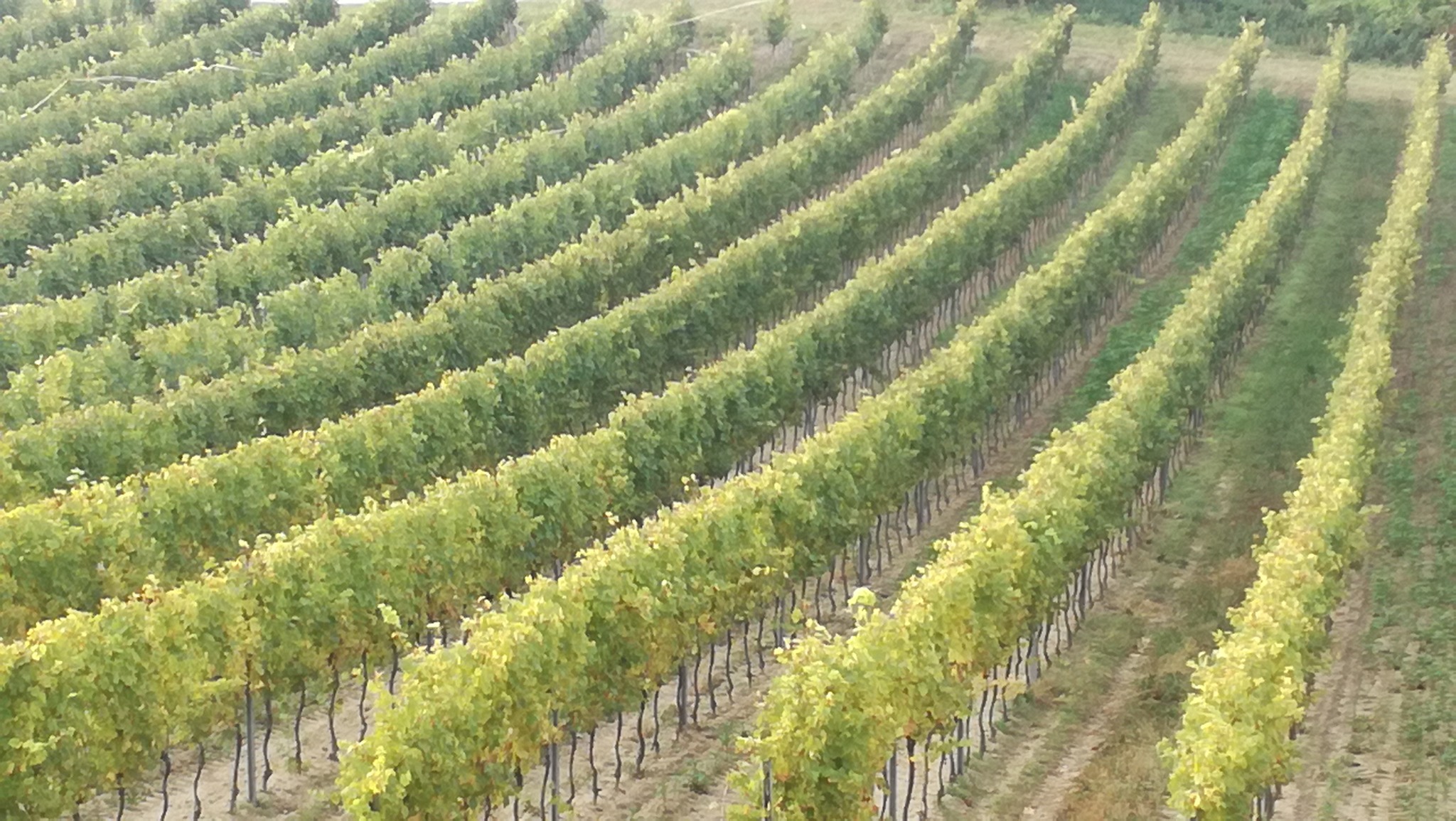 Klinik Bad Pirawarth Baden