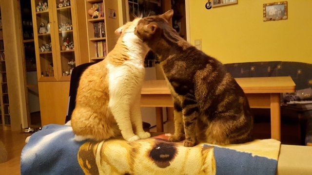 Meine zwei Lieblinge Wendy und Lilly - Geschwisterliebe