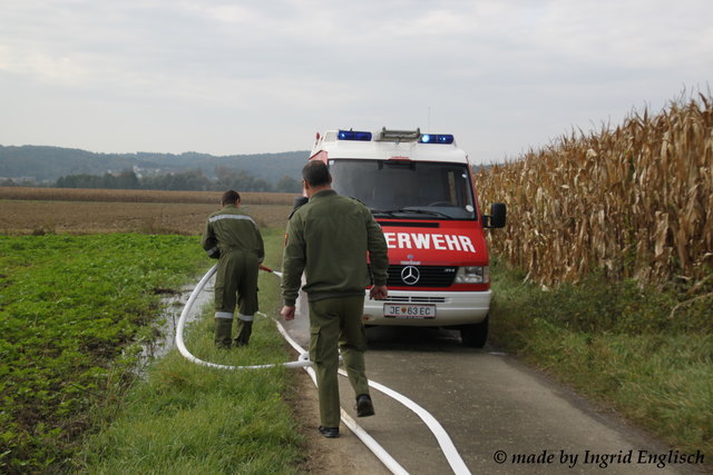 Foto: Ingrid Englisch