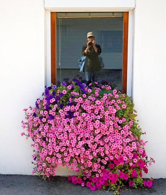 ... hiezu hat sie sich ein Fenster mit wundervollem Blumenschmuck, ausgesucht :))