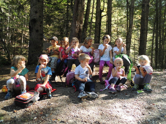 Montags gibt es immer einen "Waldtag" im Kindergarten | Foto: KK