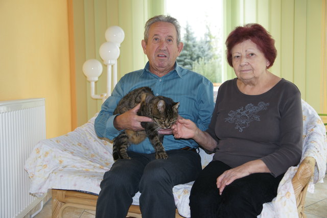 Das Ehepaar Killinger mit seinem Kater "Minki", der von einem Unbekannten vermutlich im Garten angeschossen wurde.
