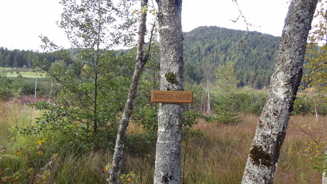 Reither Moor
